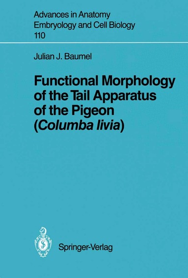 Julian J. Baumel - Functional Morphology of the Tail Apparatus of the Pigeon (Columba livia), Häftad