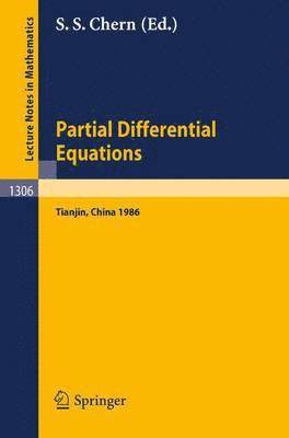 bokomslag Partial Differential Equations