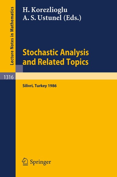 Hayri Korezlioglu, Ali S. Ustunel - Stochastic Analysis and Related Topics, Häftad