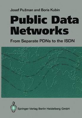 bokomslag Public Data Networks