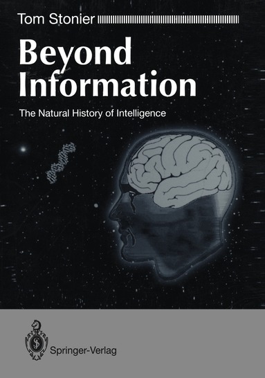Tom Stonier - Beyond Information, Häftad