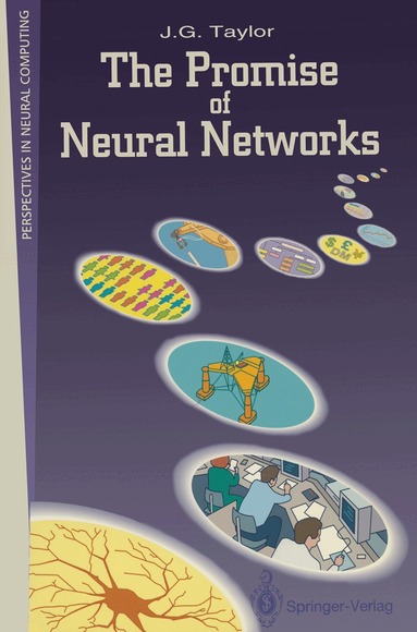 J.G. Taylor - Promise of Neural Networks, Häftad