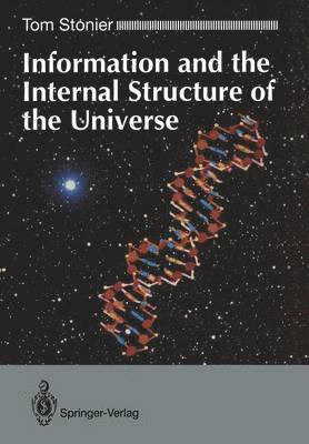Information and the Internal Structure of the Universe