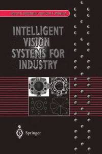 bokomslag Intelligent Vision Systems for Industry