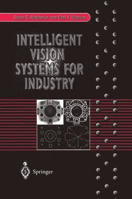 Intelligent Vision Systems for Industry 1