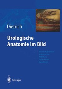 bokomslag Urologische Anatomie Im Bild