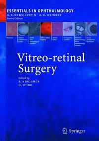 bokomslag Vitreo-retinal Surgery