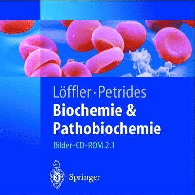 Biochemie Und Pathobiochemie 1