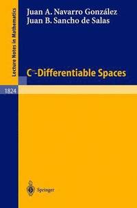 bokomslag C^\infinity - Differentiable Spaces
