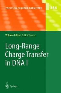 bokomslag Long-Range Charge Transfer in DNA I