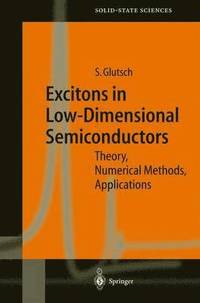 bokomslag Excitons in Low-Dimensional Semiconductors