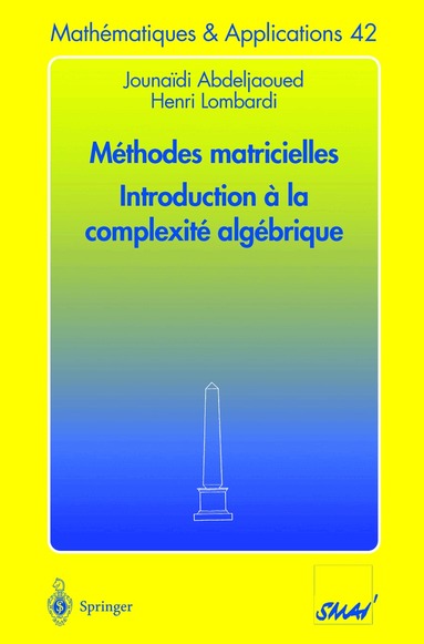 Jounaidi Abdeljaoued, Henri Lombardi - Méthodes matricielles - Introduction à la complexité algébrique, Häftad