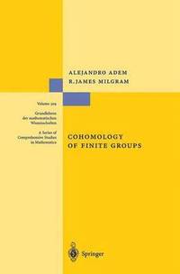 bokomslag Cohomology of Finite Groups