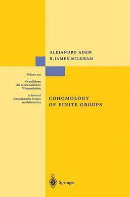 Cohomology of Finite Groups 1