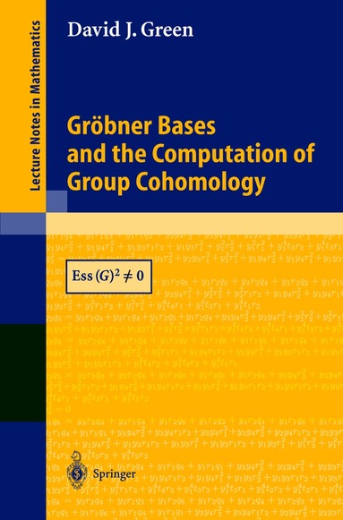 David J. Green - Gröbner Bases and the Computation of Group Cohomology, Häftad