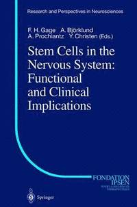 bokomslag Stem Cells in the Nervous System: Functional and Clinical Implications