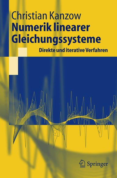 Christian Kanzow - Numerik linearer Gleichungssysteme: Direkte und iterative Verfahren, Häftad