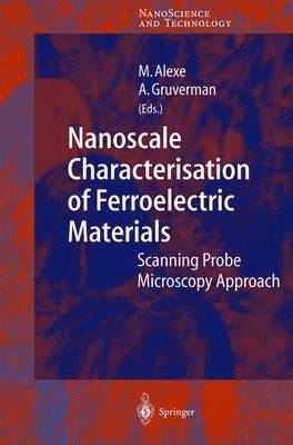 bokomslag Nanoscale Characterisation of Ferroelectric Materials