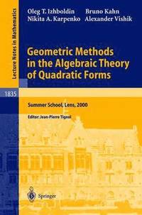bokomslag Geometric Methods in the Algebraic Theory of Quadratic Forms