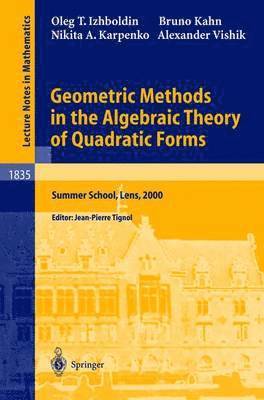 bokomslag Geometric Methods in the Algebraic Theory of Quadratic Forms