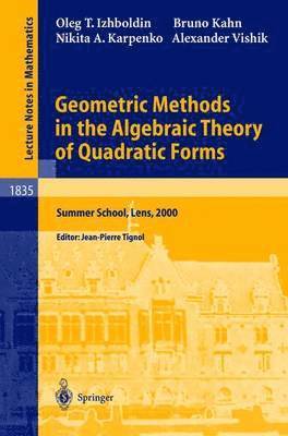 Geometric Methods in the Algebraic Theory of Quadratic Forms 1