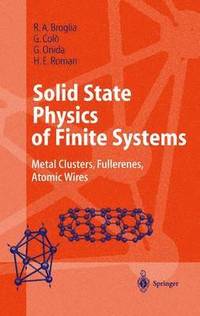 bokomslag Solid State Physics of Finite Systems