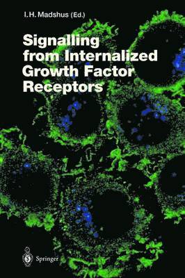 bokomslag Signalling from Internalised Growth Factor Receptors