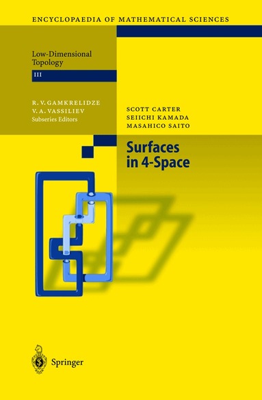 Scott Carter, Seiichi Kamada, Masahico Saito - Surfaces in 4-Space, Inbunden