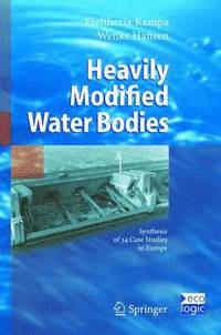 bokomslag Heavily Modified Water Bodies