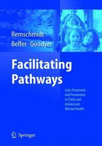 bokomslag Facilitating Pathways