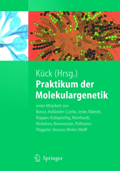 bokomslag Praktikum der Molekulargenetik