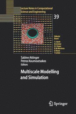 Multiscale Modelling and Simulation 1