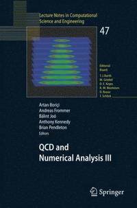 bokomslag QCD and Numerical Analysis III