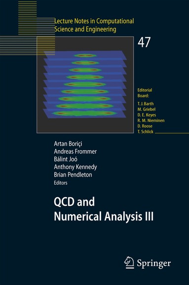 Artan Boriçi, Andreas Frommer, Bálint Joó, Anthony Kennedy, Brian Pendleton - QCD and Numerical Analysis III, Häftad