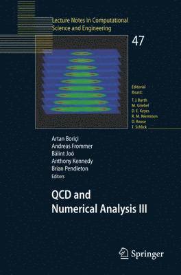 bokomslag QCD and Numerical Analysis III