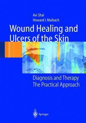 Avi Shai, Howard I. Maibach, Avi Shai, Howard I. Maibach - Wound Healing and Ulcers of the Skin, Inbunden