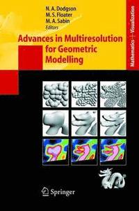 bokomslag Advances in Multiresolution for Geometric Modelling