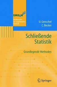 bokomslag Schlieende Statistik