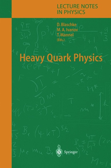 bokomslag Heavy Quark Physics