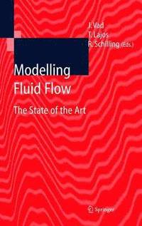 bokomslag Modelling Fluid Flow