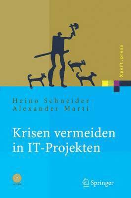 bokomslag Krisen vermeiden in IT Projekten