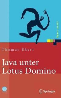 bokomslag Java unter Lotus Domino