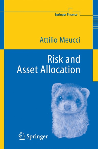 bokomslag Risk and Asset Allocation