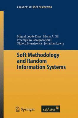 Soft Methodology and Random Information Systems 1