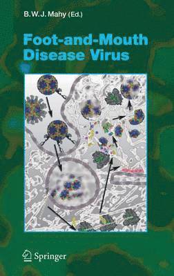 Foot-and-Mouth Disease Virus 1