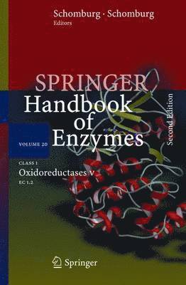 Dietmar Schomburg, Ida Schomburg - Class 1 Oxidoreductases V, Inbunden