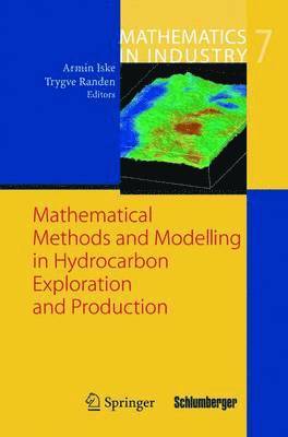 bokomslag Mathematical Methods and Modelling in Hydrocarbon Exploration and Production