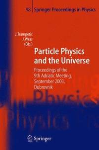 bokomslag Particle Physics and the Universe