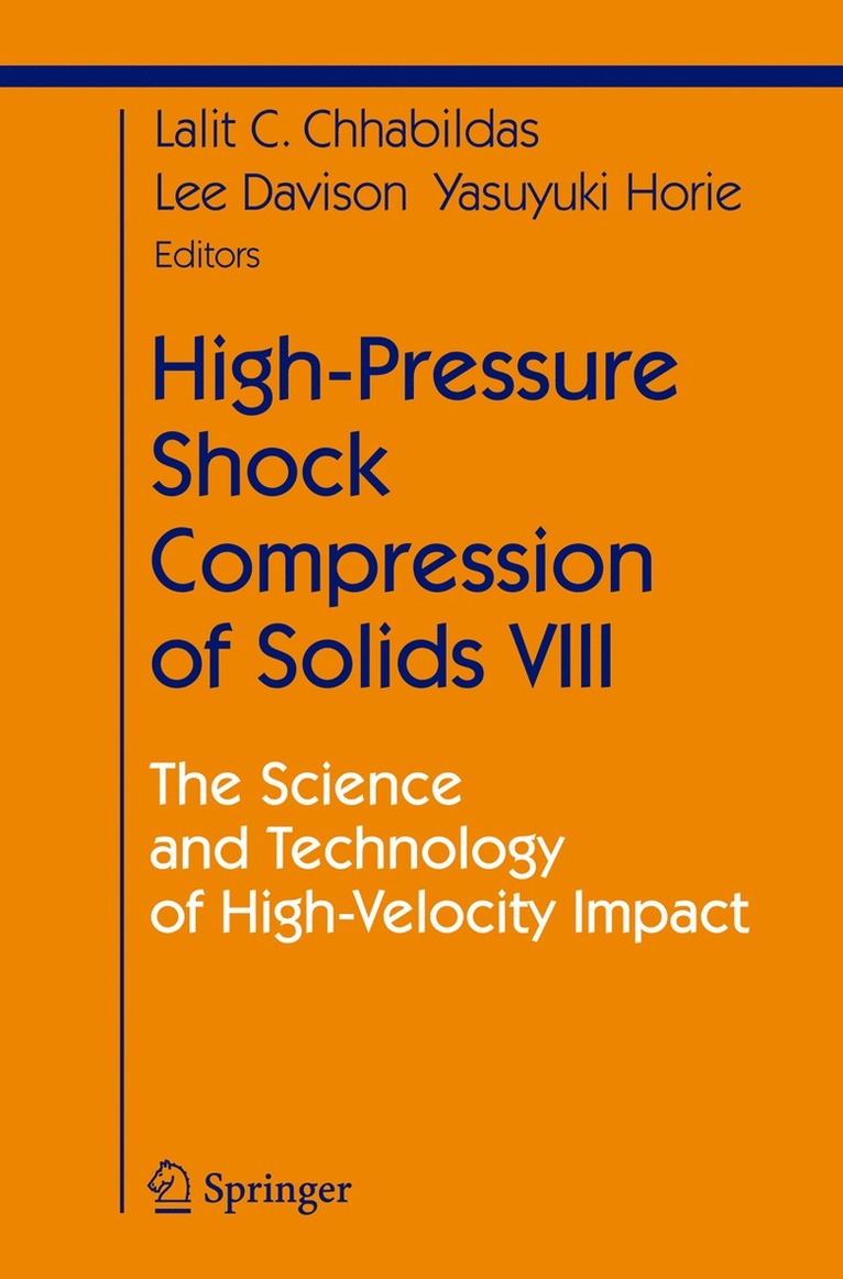 L.C. Chhabildas, Lee Davison, Y. Horie, L. C. Chhabildas - High-Pressure Shock Compression of Solids VIII, Inbunden
