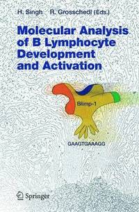 bokomslag Molecular Analysis of B Lymphocyte Development and Activation